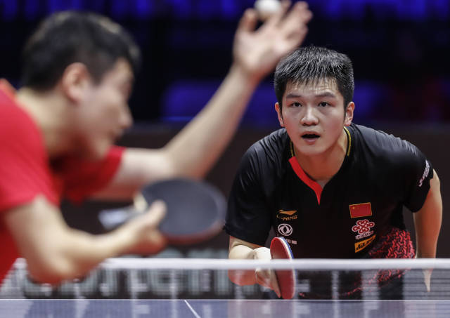 队击败坦帕 队击败坦帕